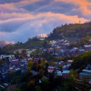 Meet your Posher, Dakota